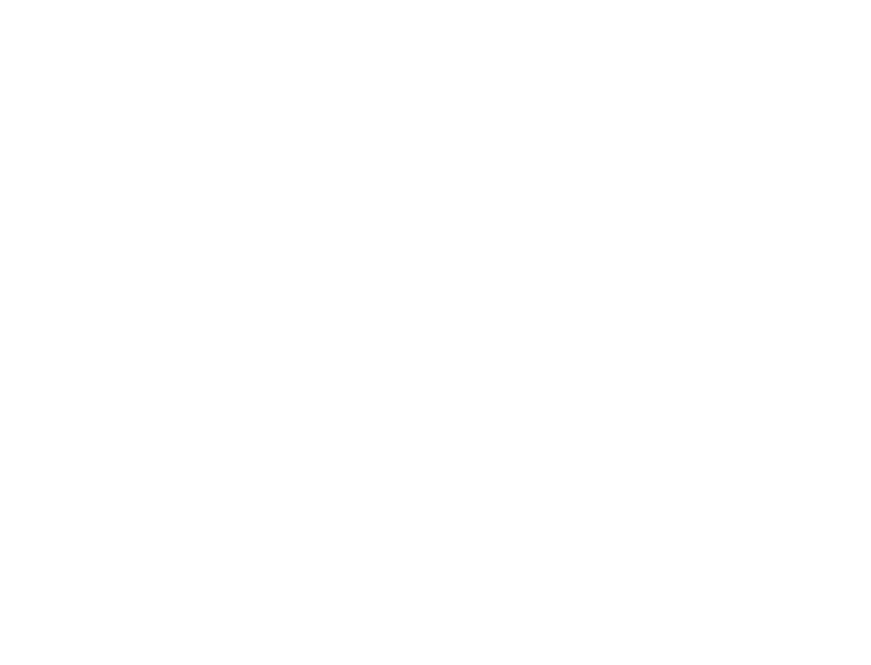 logo plk